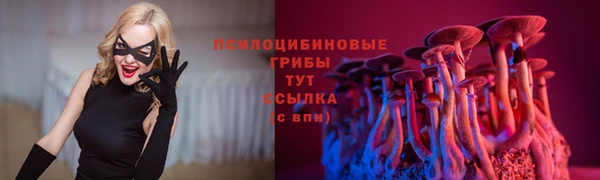 ALPHA-PVP Бородино